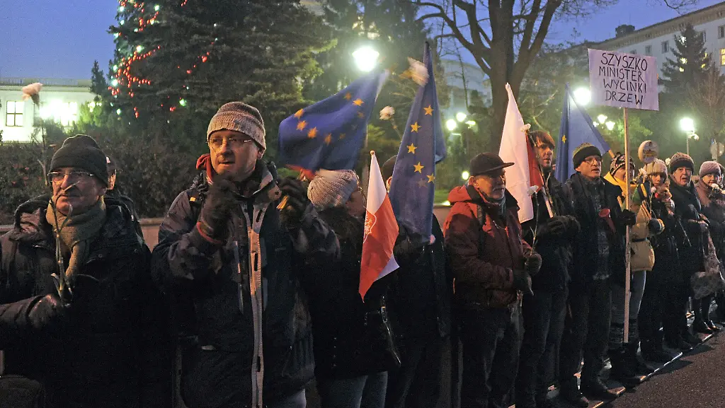 a8f1946943a484af9297bab39985e29e