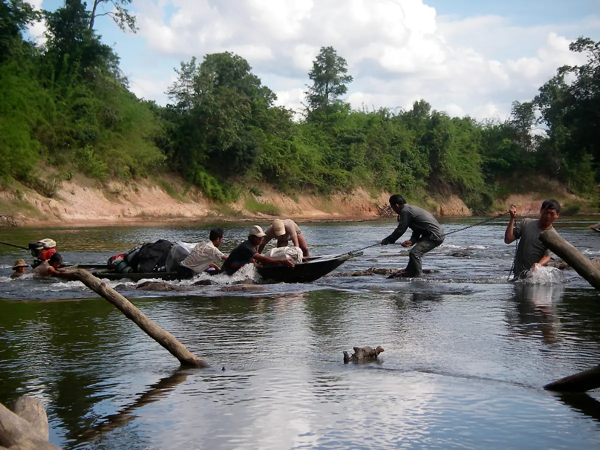Leptolalax-isos-habitat-c-Jodi-Rowley-Australian-Museum