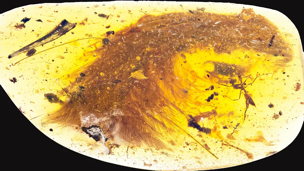 175a7eabb8000e0eb5f9ca7fb61bce57