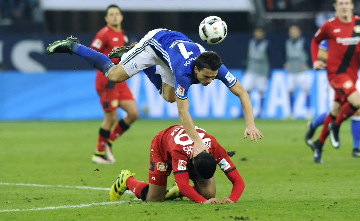 8fc73c1838362fdfbdc7ef9ae97837ab