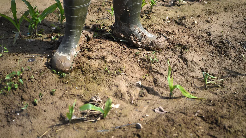 857c6ecbb21da702cce38eac97fa5a6a