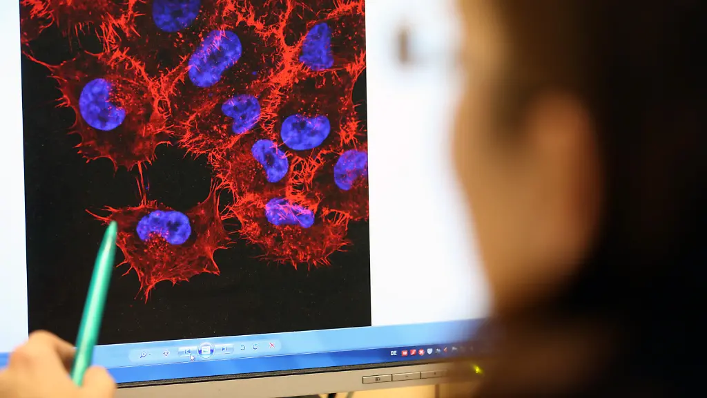 c6aaa0617e74915e678c380a8b453303