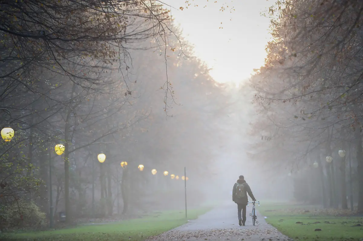 98254dff30b04eeb1182427e25b9dbe6