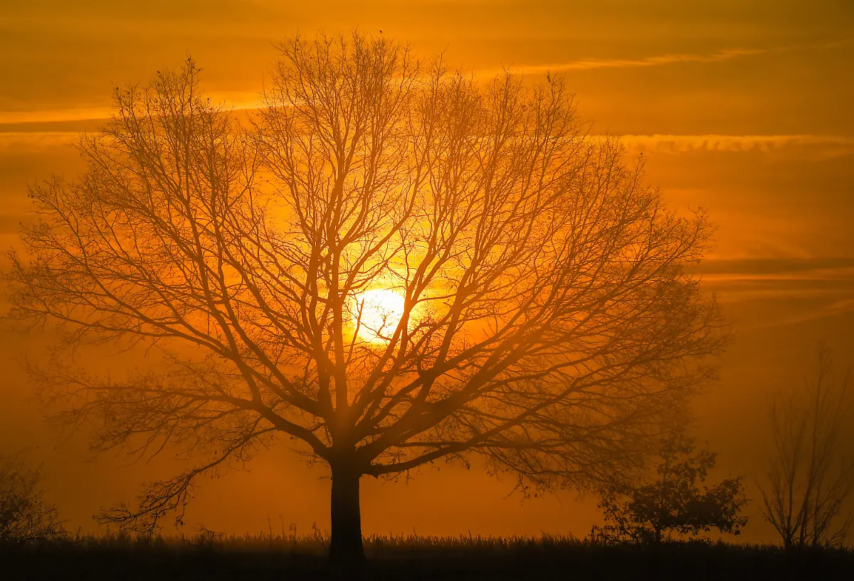 f66107a86a58a1c95e99d90792022504