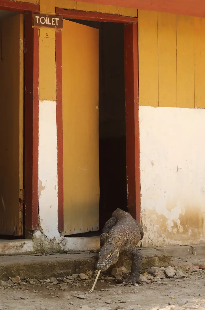 h-BM-CWA-FINALS-02624552