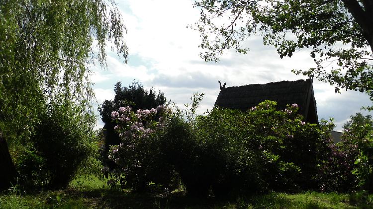 Von den Giebeln der Spreewaldhäuser schaut der Schlangenkönig ins Land.