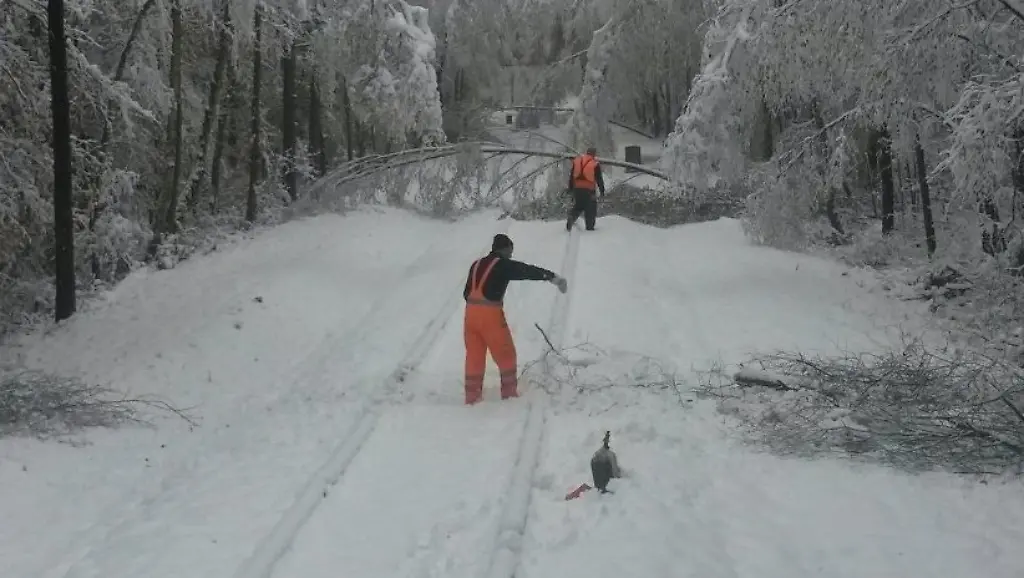 706f6c36608685606ac788cfd2965133