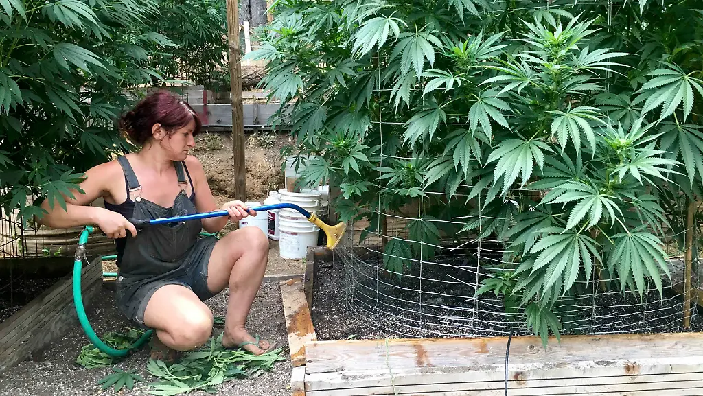 25362486562a98875a2a61574dae177a