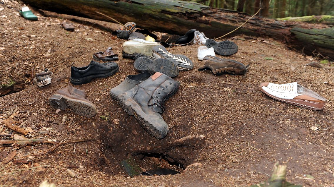 Mehr als 120 Schuhe schleppte der Fuchs in den Wald.