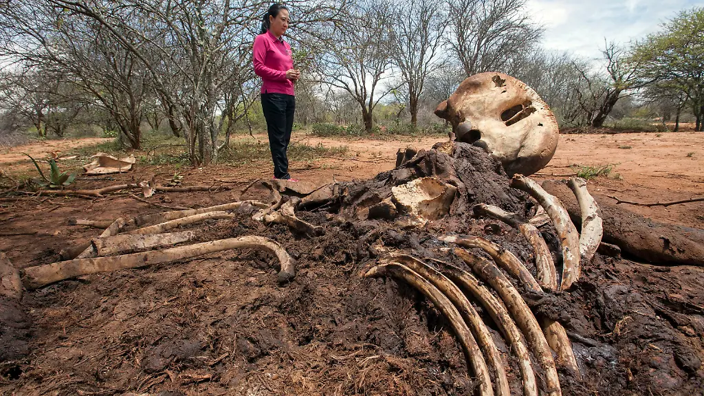 1a5283b2d019b6aab16be225eaab49c2