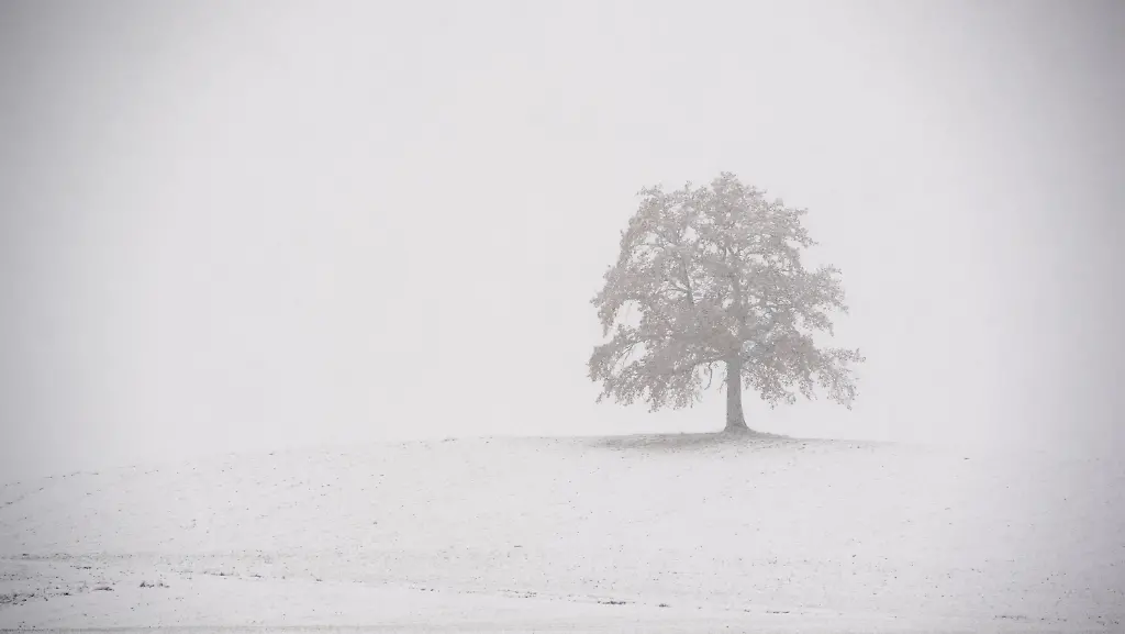 c2fff0d395e85b742e565720bb8690e8