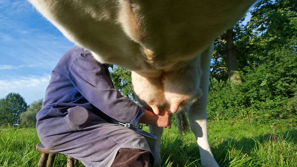 4af84cfc5f30e46b65a12d0b5a875ea7