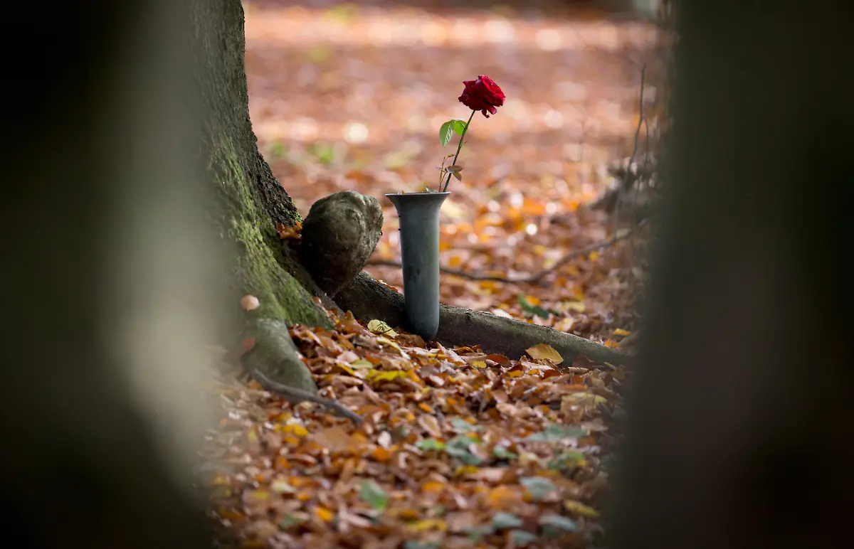 89eac07cdeca984b6629dee749d2bb6f