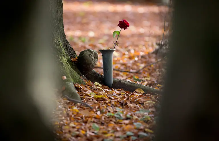 89eac07cdeca984b6629dee749d2bb6f