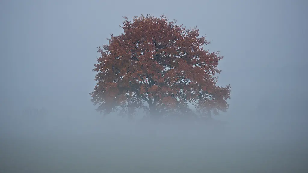 bfe7b93b203d8aca8b2a235c21769d4a