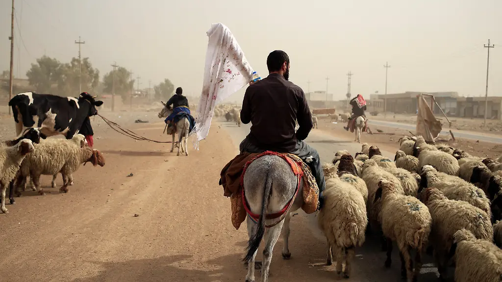 da99c8aaf8d14739e32388472168b35b