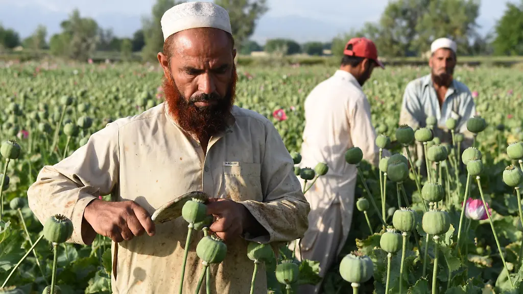 d46d38bf10de6103f69a2316dc6c3734