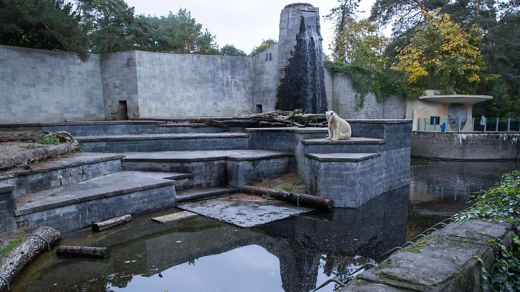 e9b46a6bc4ceab2e4625cb5480bfdd05