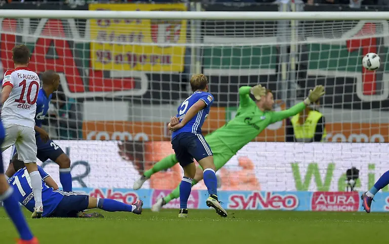 222eb8edd7e1f686f0a64b81d432340e