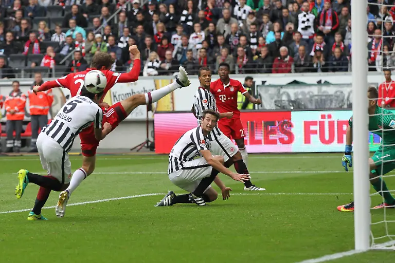 74d66013648a859392a442b999190777