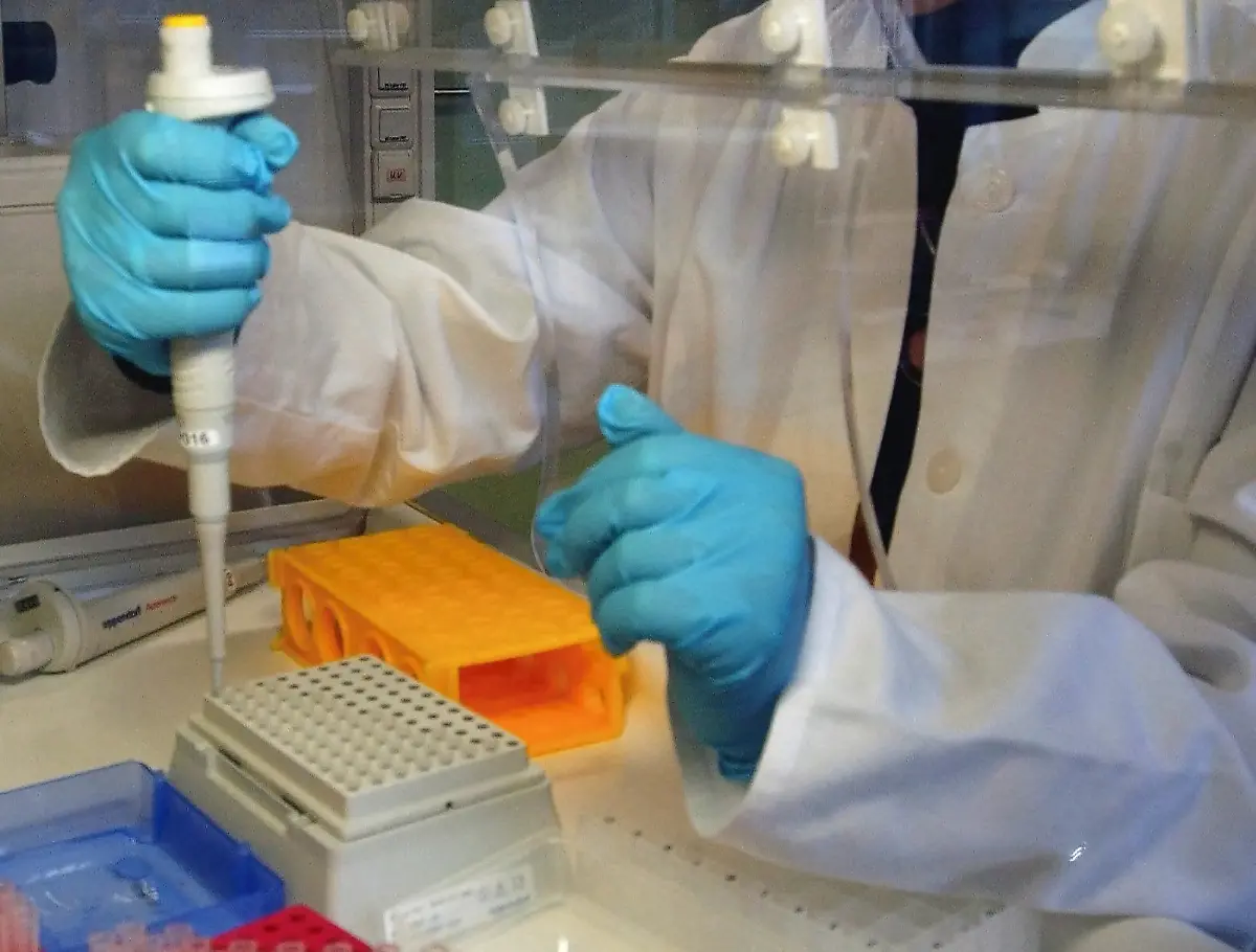 defd251066ea2ce0436131b6f036d235