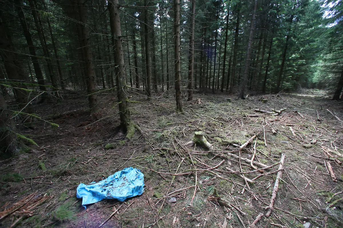 407f0d85a7036cfba8f4274945dc33cc