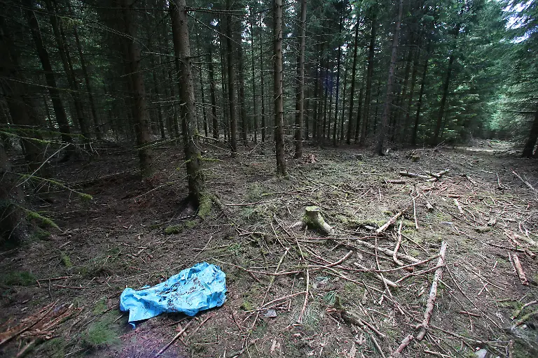 407f0d85a7036cfba8f4274945dc33cc