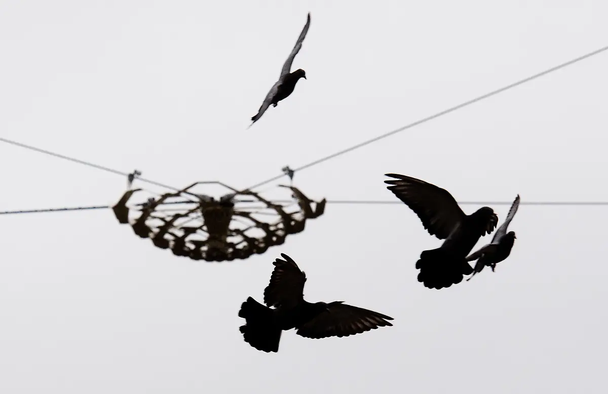 378e17ef019e9f2952dc3ecfa14b6b42