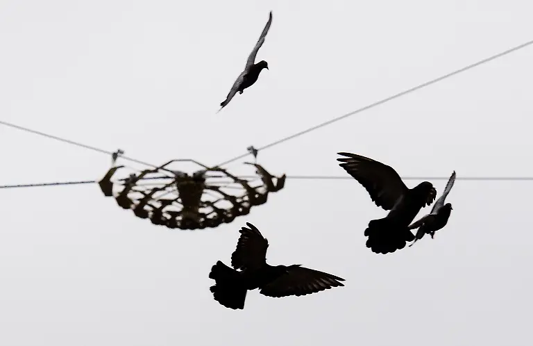 378e17ef019e9f2952dc3ecfa14b6b42