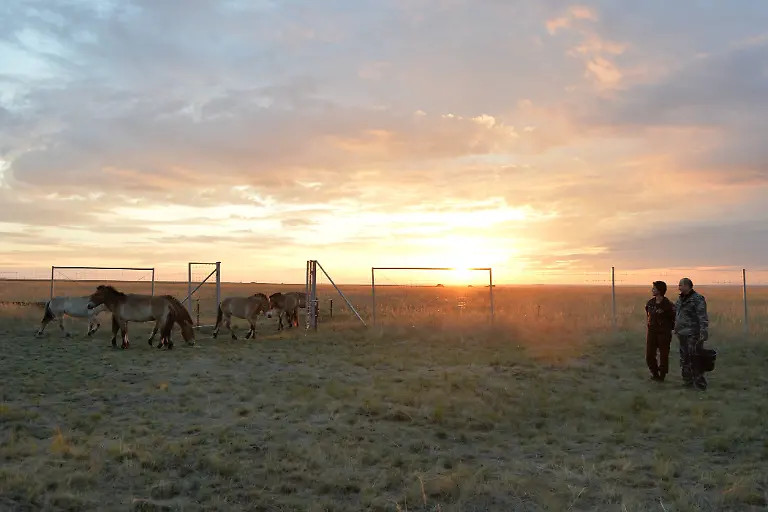 680c782fd8729218284728563faa7b7a