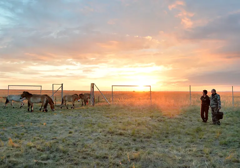 411668f57a829da791966676df98a6a7