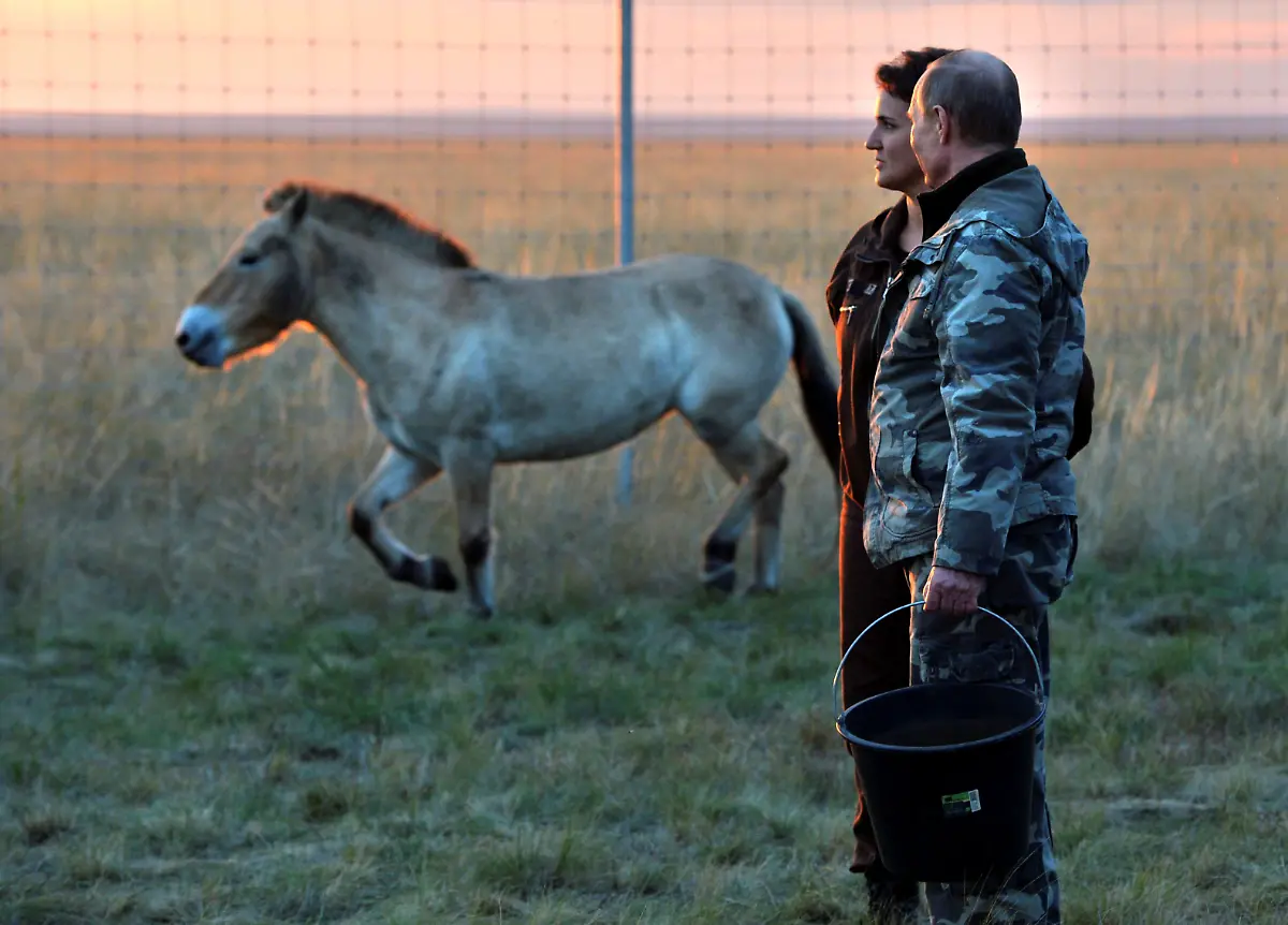 05be810ba2e018dc2cf666594c78c316