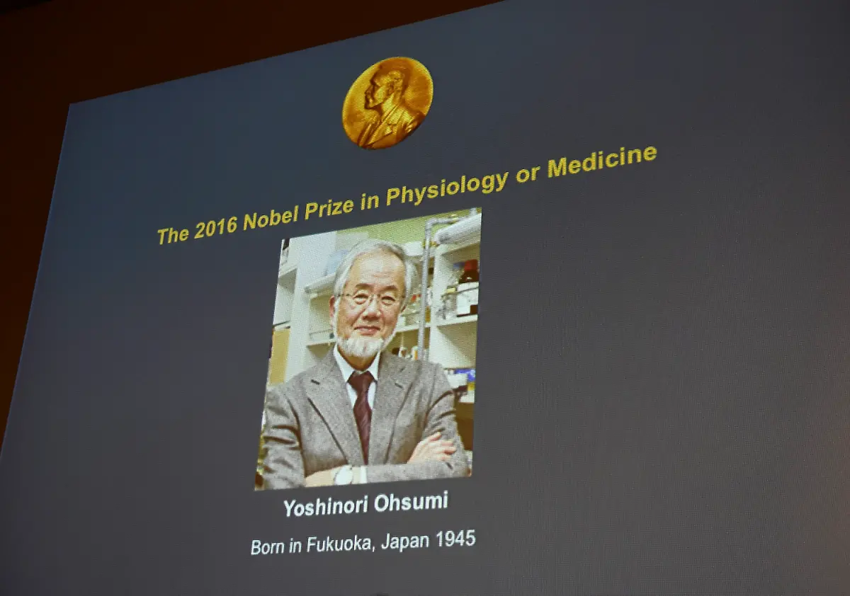 3874777916ed2204ddc0e13c133fb03c