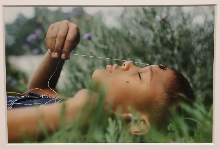 Junge-mit-Junikaefer-Fort-Scott-Kansas-1963