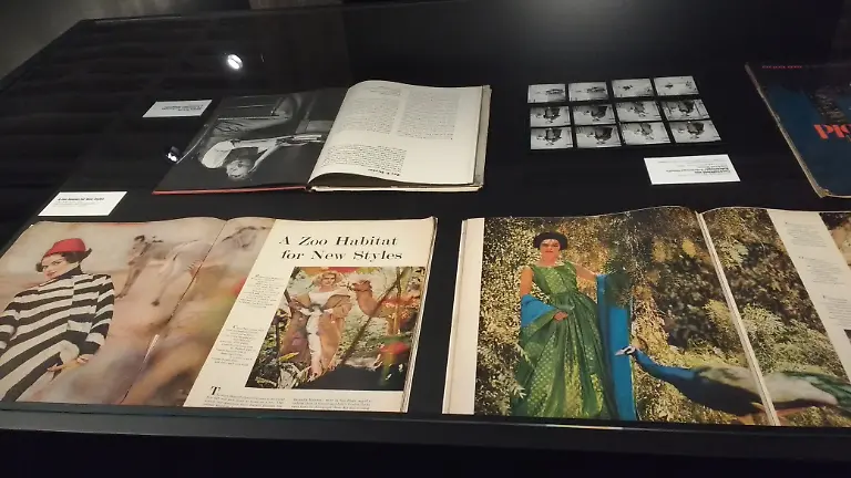 IMG-20160909-112644201