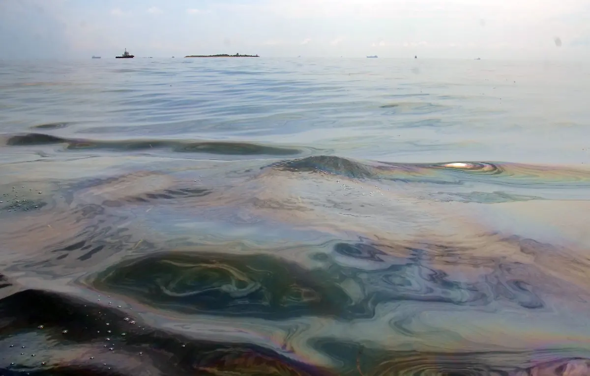 f8c19fc6019122757843b034c569a556