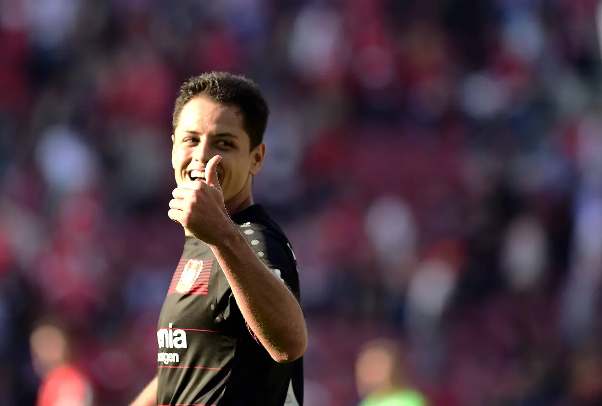 15df992cec5bb9c56654f870da3246a8