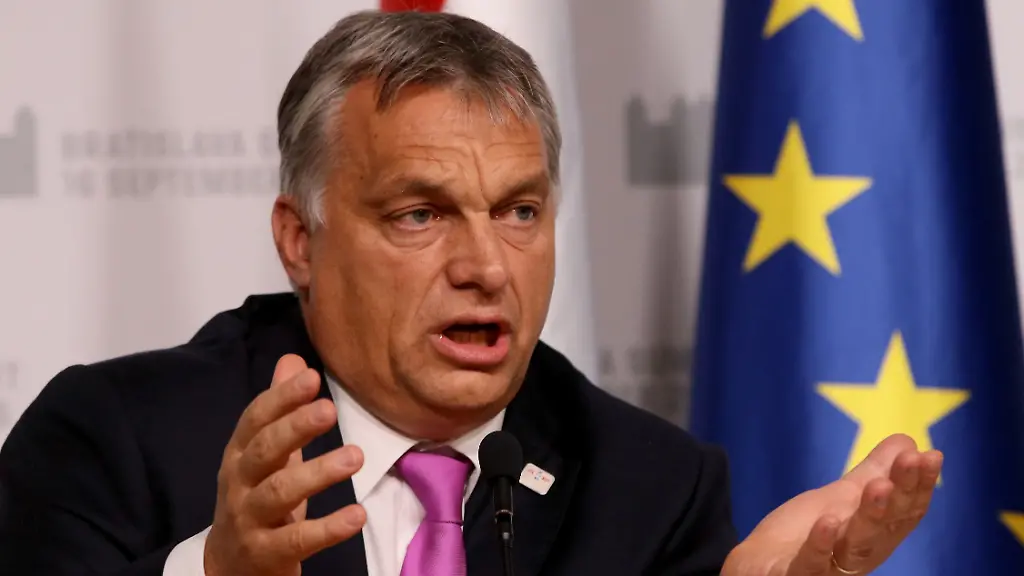 a3125857ed6895fcaabcd88834548ab7