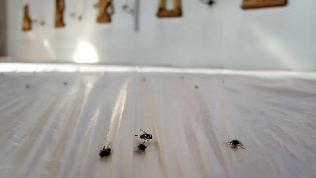 4eacad27579608467f579e507c87ea75