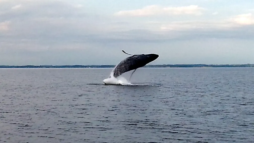 5eab164e727e1376c0748627ccad251e