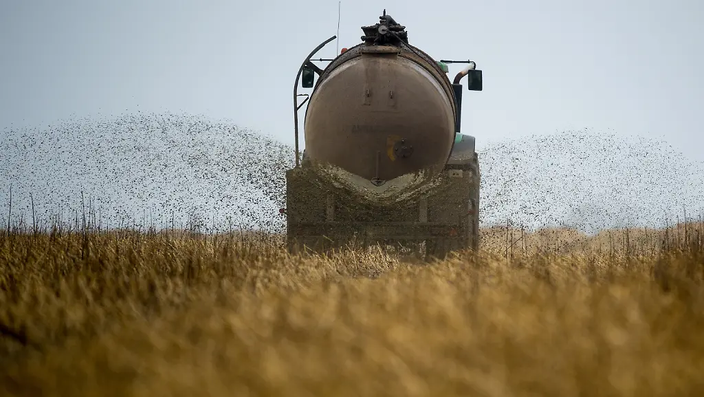 4d42710146ea555f6559fffc89a2a8fa