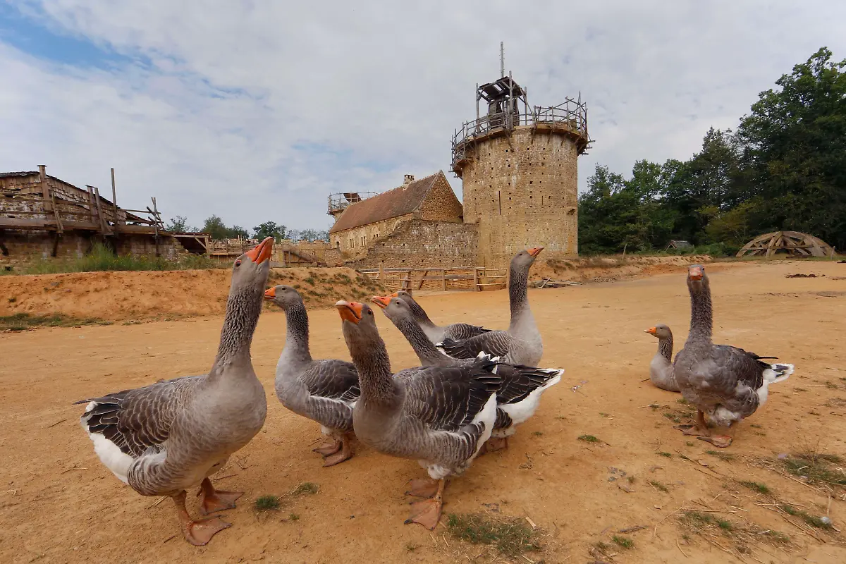 75ab8afb2bacdb087255af2cf69ed489