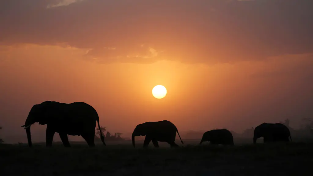 2d8b382b9d023b9b815f29733bdb3280