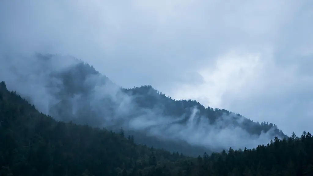 52ffe896e443e6dc56d8288da1215e08