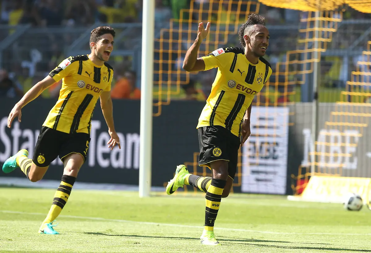 3a31cc7a029c189ff995af0820348072