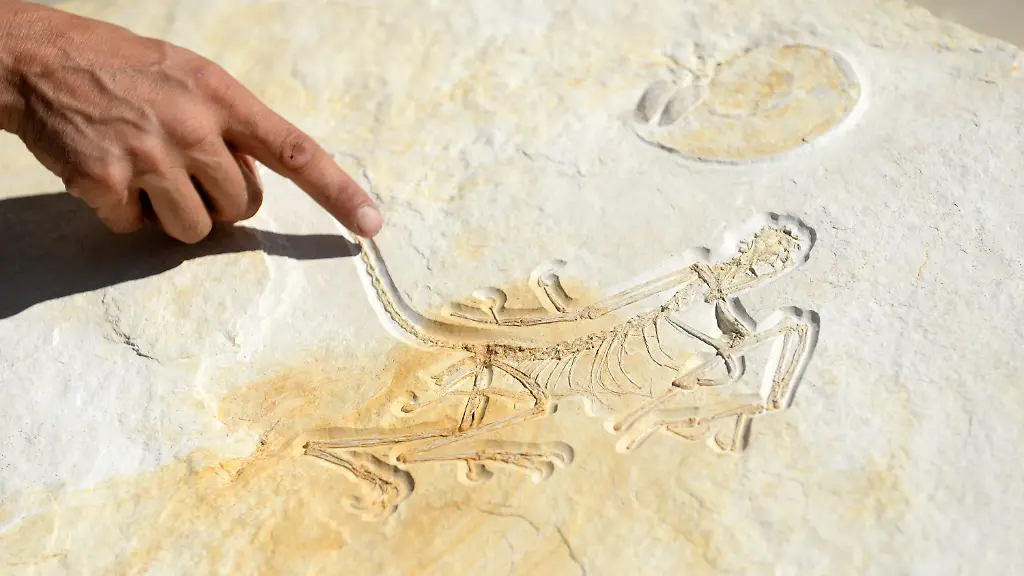 3c4c9ff8fdf1ab3591c10fec195c9d98