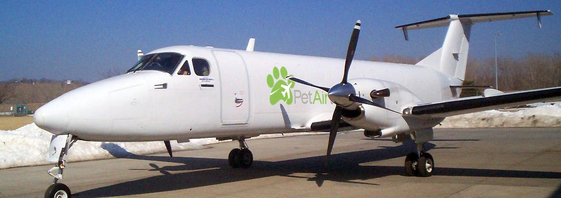 Ab dem 14. Juli 2009 soll es in den USA eine Airline nur für Haustiere geben: Pet Airways.