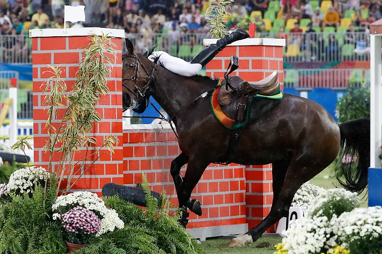 025646d403a4bf80e8f2b7a8e962fab6