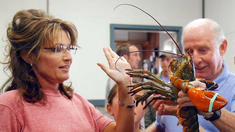 Während Sarah Palin in New Hampshire einen Hummer bestaunt, kämpft der Rest ihrer Partei verzweifelt um Aufmerksamkeit.