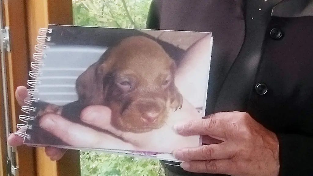 5479ad37bb6b3b2334eb1c852c72089b